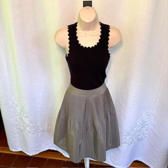 Banana Republic Gray/Silver MIDI SKIRT size 0 - Picture 1 of 8